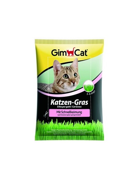 Gimcat Erba Gatto a Crescita Rapida Gr.100 Erba per Gatti