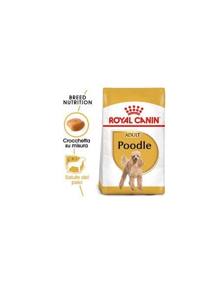 BARBONE 30 KG.1,5 ROYAL CANIN