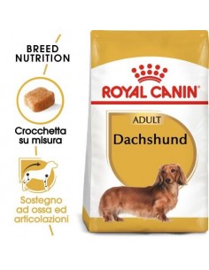 bassotto Royal Canin