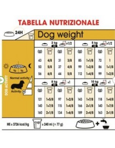 bassotto Royal Canin 2
