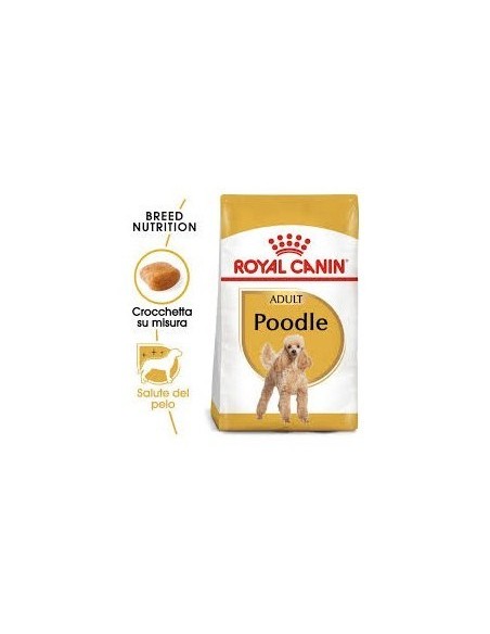 Royal Canin Barboncino Poodle gr 500. Cibo Secco per Cani