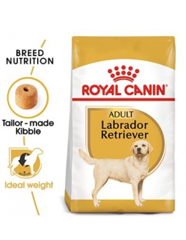 Royal Canin Labrador Adult kg 12. Cibo Secco Per Cani