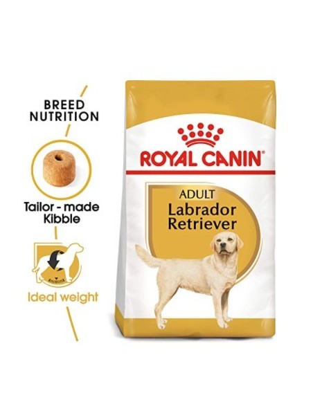 Royal Canin Labrador Adult kg 12. Cibo Secco Per Cani