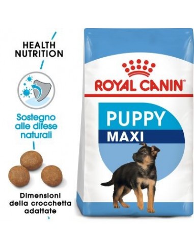 Royal Canin Maxi Puppy kg 15 Cibo Per Cani Cuccioli