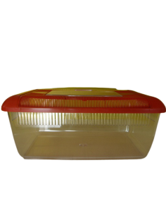 Vaschetta Terrario Plastica 2.