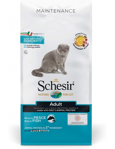Schesir Cat Secco Mantenimento con Pesce KG.1,5 Mangimi Secchi per Gatti