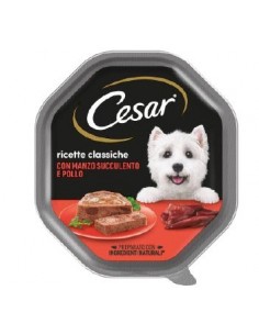Cesar Pate' Manzo Succolento e Pollo gr 150. Alimento Per Cani