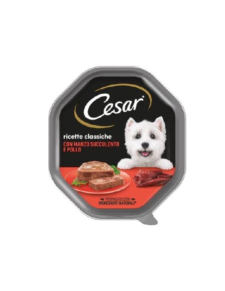 Cesar Pate' Manzo Succolento e Pollo gr 150. Alimento Per Cani