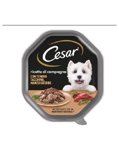 Cesar Ricette Di Campagna Con Tenero Tacchino, Manzo e Erbe gr.150 Alimento Per Cani