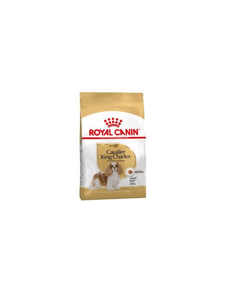 Royal Canin Cavalier King kg 1,5 . Alimento Per Cani