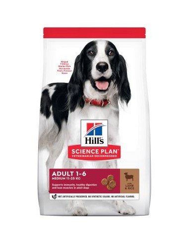 Hill's Canine Maintenance Lamb and Rice kg 2,5. Crocchette per cani