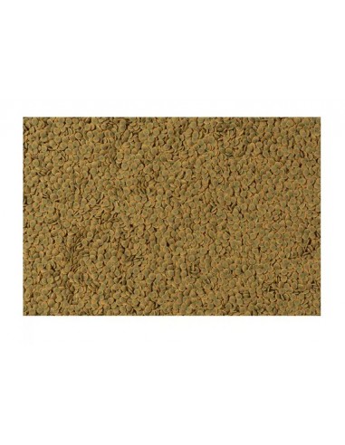 Tetra Pleco Wafer gr 105 / ml 250. Mangime Per Pesci