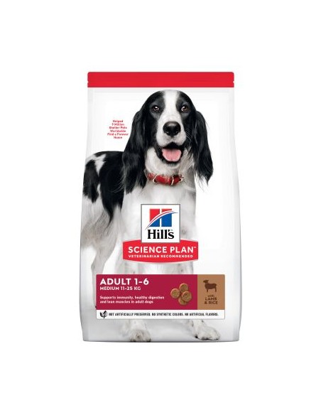 Hill's Canine Maintenance Lamb and Rice kg 12. Crocchette Per Cani