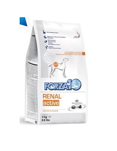 FORZA 10 RENAL ACTIVE KG 4