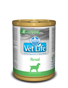 VET LIFE DOG RENAL GR.300 2