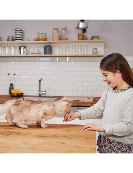 Gimcat Yogurt 150 Gr Latte per Gatti