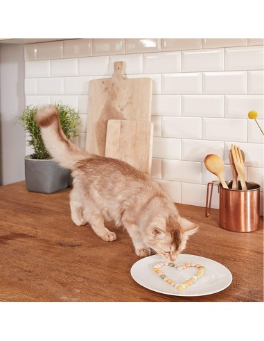 Gimcat Palline al Formaggio Gr.50 Snack per Gatti