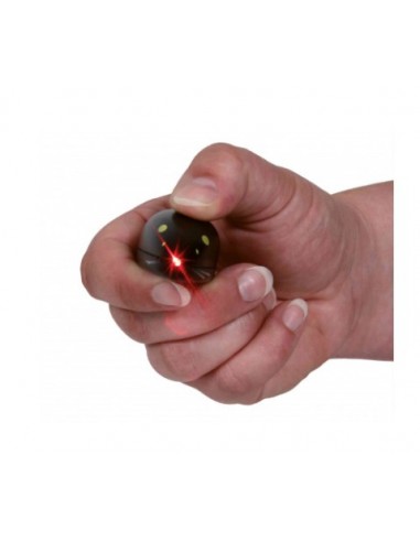 Gioco Puntatore Laser Forma Topolino . Gioco Per Gatti