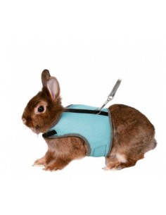 Pettorina Con Guinzaglio Per Conigli Grandi . Accessori Per Roditori