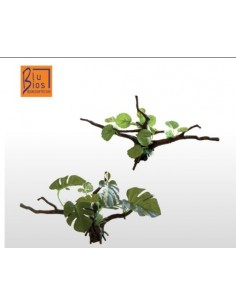 Decorazione Legno Con Pianta misura Small. Decorazione Per Acquari