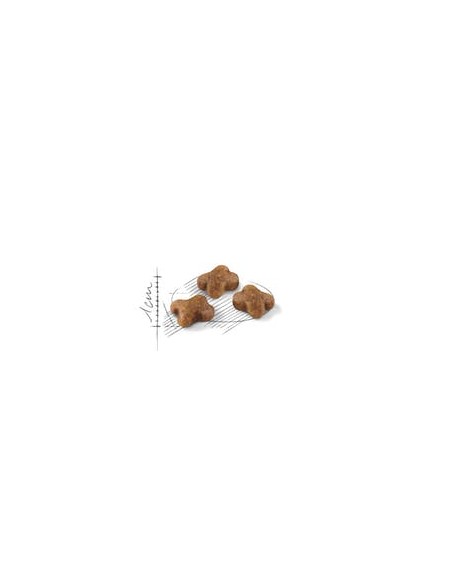 Kitten 36 Gr.400 Royal Canin Cibo per Gattini