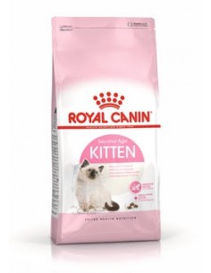 Kitten 36 Gr.400 Royal Canin Cibo per Gattini