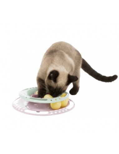 Girotondo Junior Circle. Giochi Per Gatti