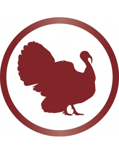 Gimcat Sticks con Tacchino e Coniglio 4Pz Snack per Gatti