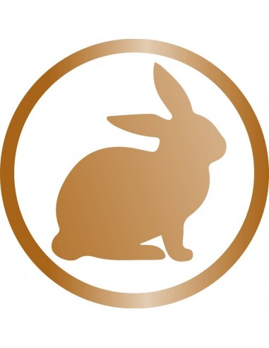 Gimcat Sticks con Tacchino e Coniglio 4Pz Snack per Gatti