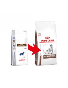GASTROINTESTINAL KG.2 ROYAL CANIN 2