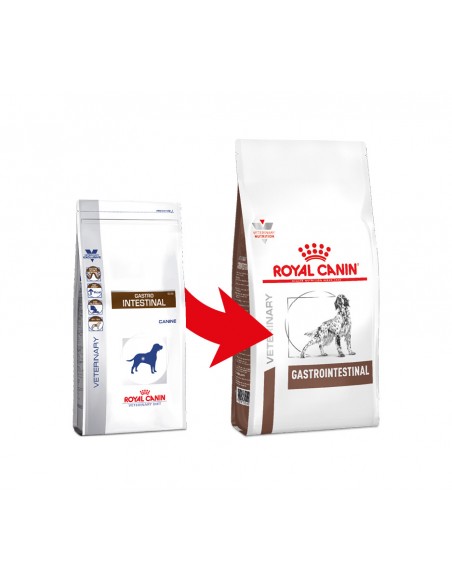 Gastrointestinal Kg.2 Royal Canin Alimento Dietetico per Cani