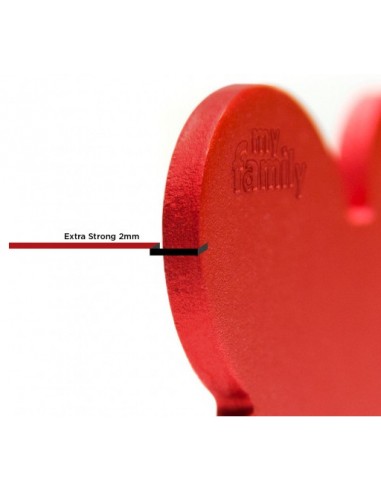 Medaglietta Basic Cerchio Grande Rosso In Alluminio . Targhetta per cane