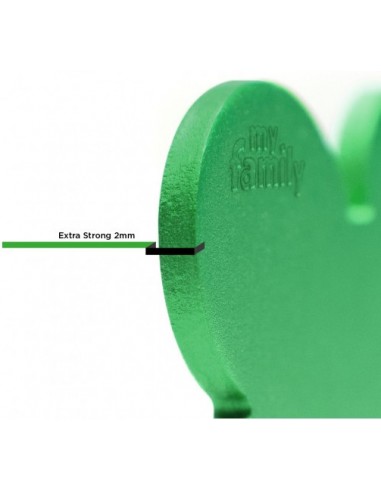 Medaglietta Basic Cerchio Grande Verde In Alluminio . Targhetta per cane .