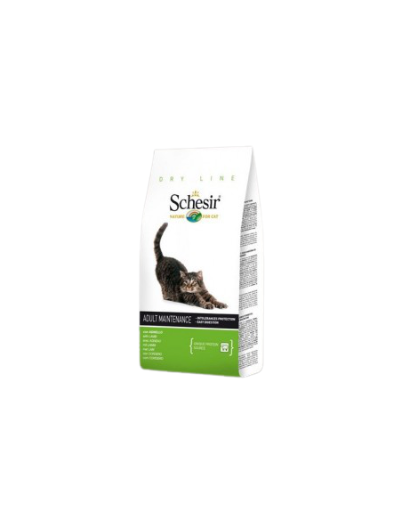 Schesir Cat Adult Mantenimento con Agnello Gr.400 Mangimi Secchi per Gatti di tutte le razze.