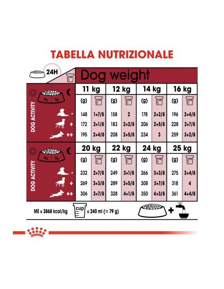 Royal Canin Medi Agein 10+ kg 3 . Alimento Per Cani