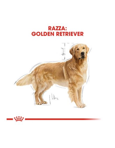 Royal Canin Golden Retriver 25 kg 3 Alimento Per Cani
