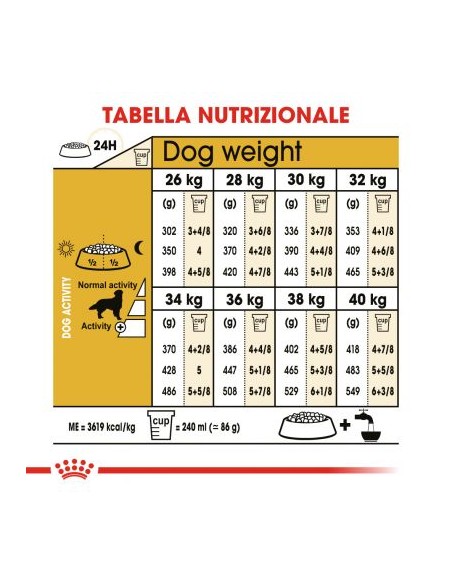 Royal Canin Golden Retriver 25 kg 12 Alimento Per Cani