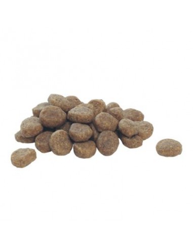 Pro Plan Puppy Medium Agnello Sensitive Optidigest kg 12. Alimento Per Cuccioli