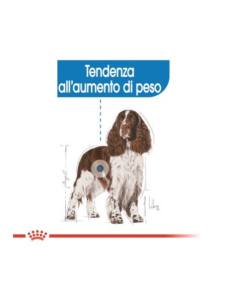 Royal Canin Medium Light kg 13. Alimento Per Cani Adulti in sovrappeso