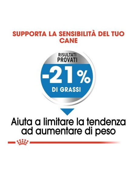 Royal Canin Medium Light kg 13. Alimento Per Cani Adulti in sovrappeso