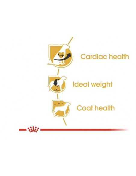 Royal Canin Cavalier King kg 1,5 . Alimento Per Cani