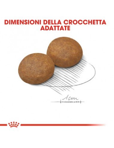 Royal Canin Medi Adult kg 4 . Alimento Per Cani adulti con età superiore ai 7 anni