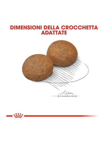 Royal Canin Medi Adult kg 4 . Alimento Per Cani adulti con età superiore ai 7 anni
