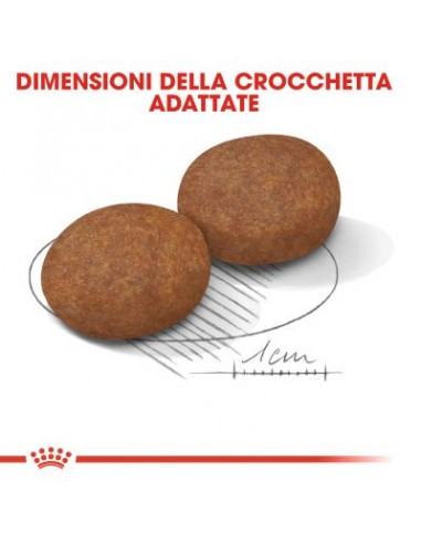 Royal Canin Medium Adult 7+ kg 4. Alimento Per cani