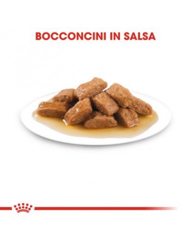 Royal Canin Medium Adult Umido gr 140. Alimento Per Cani