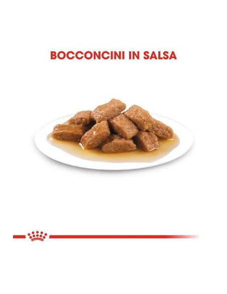 Royal Canin Medium Adult Umido gr 140. Alimento Per Cani