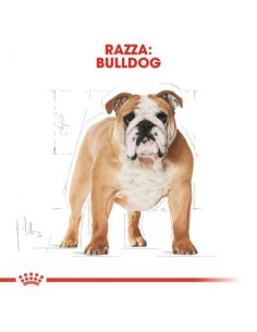 Royal Canin French Bulldog Adult Kg 1,5. Alimento Per Cani 2