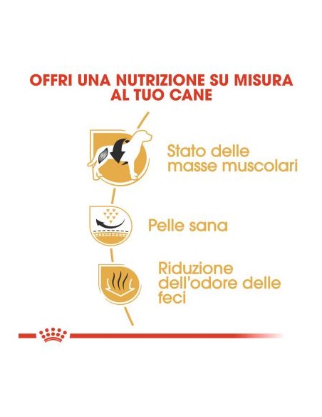 Royal Canin French Bulldog Adult Kg 1,5. Alimento Per Cani