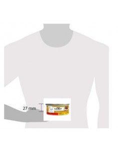 GOURMET GOLD INTRECCI DI GUSTO MANZO E POLLO GR.85 PROMO 2