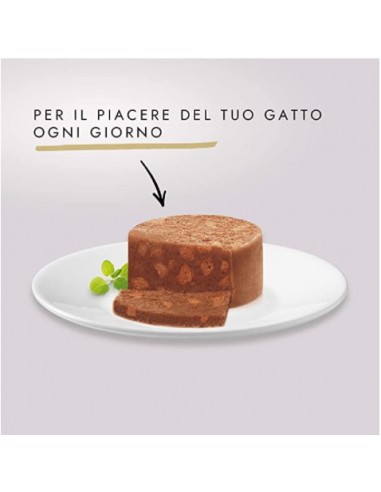 Purina Gourmet Gold Patè Anatra e Agnello gr 85. Alimento Per Gatti adulti